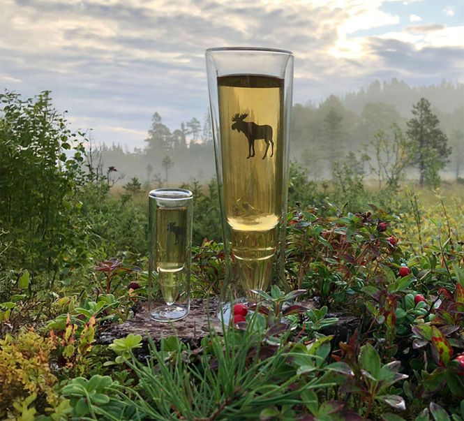 Main Image Silver Moose Glass 