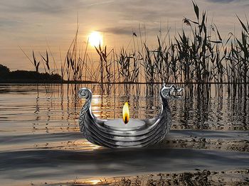 Main Image Viking ships