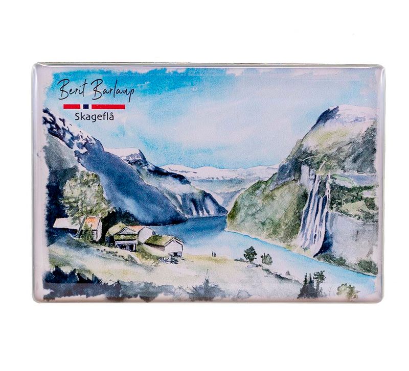 Magnet, Skageflå