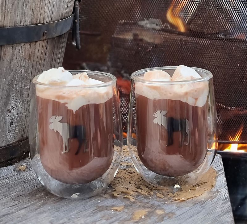 Silver Moose double wall glass